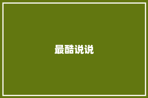 最酷说说