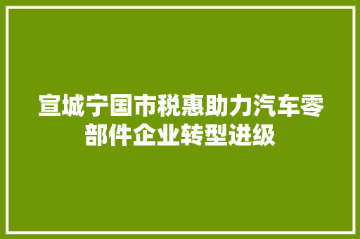 宣城宁国市税惠助力汽车零部件企业转型进级