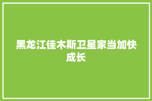 黑龙江佳木斯卫星家当加快成长