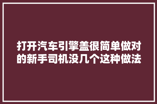 打开汽车引擎盖很简单做对的新手司机没几个这种做法很危险