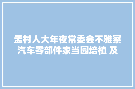 孟村人大年夜常委会不雅察汽车零部件家当园培植 及全县招商工作