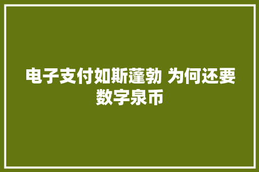 电子支付如斯蓬勃 为何还要数字泉币