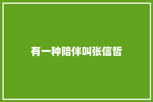 有一种陪伴叫张信哲