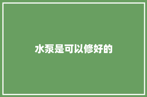 水泵是可以修好的