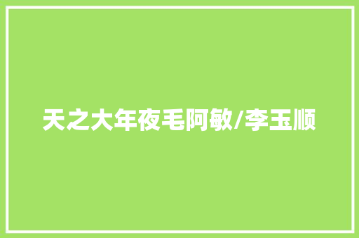 天之大年夜毛阿敏/李玉顺
