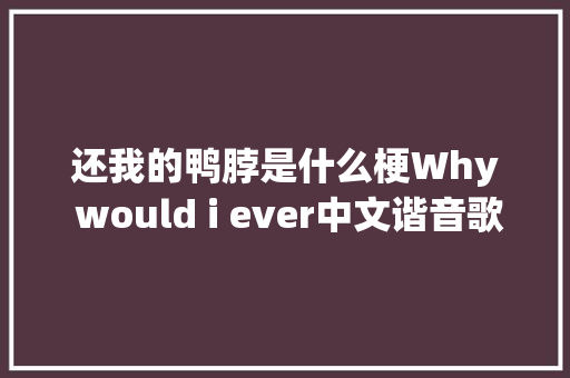 还我的鸭脖是什么梗Why would i ever中文谐音歌词