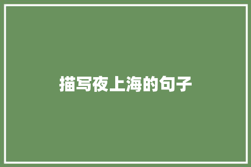 描写夜上海的句子
