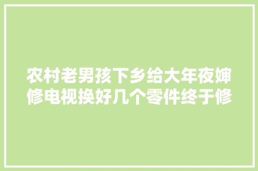 农村老男孩下乡给大年夜婶修电视换好几个零件终于修好了