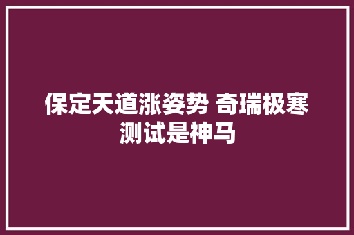保定天道涨姿势 奇瑞极寒测试是神马