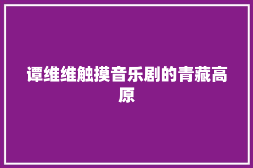 谭维维触摸音乐剧的青藏高原