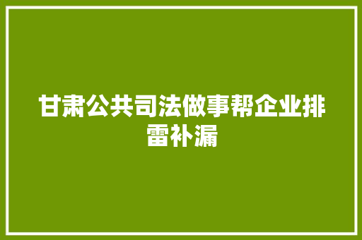 甘肃公共司法做事帮企业排雷补漏