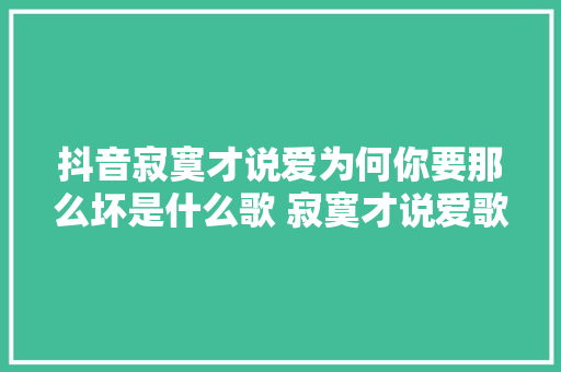 抖音寂寞才说爱为何你要那么坏是什么歌 寂寞才说爱歌词分享