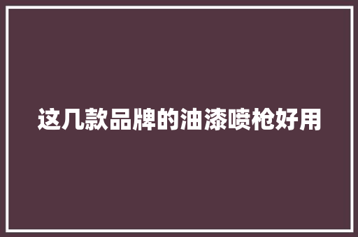 这几款品牌的油漆喷枪好用