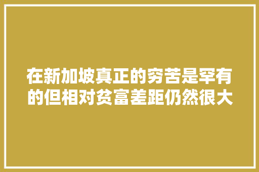 在新加坡真正的穷苦是罕有的但相对贫富差距仍然很大年夜