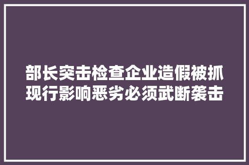 部长突击检查企业造假被抓现行影响恶劣必须武断袭击