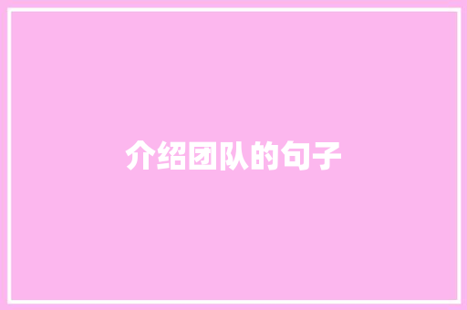 介绍团队的句子