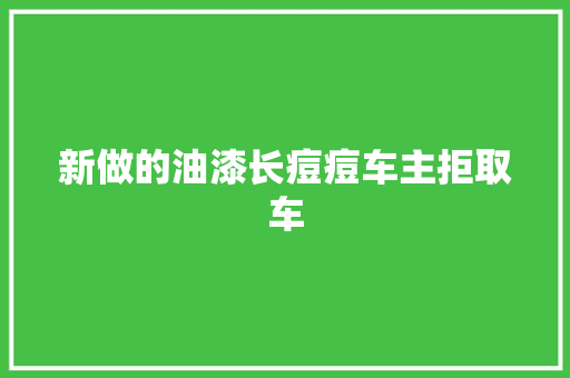新做的油漆长痘痘车主拒取车