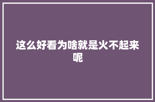 这么好看为啥就是火不起来呢
