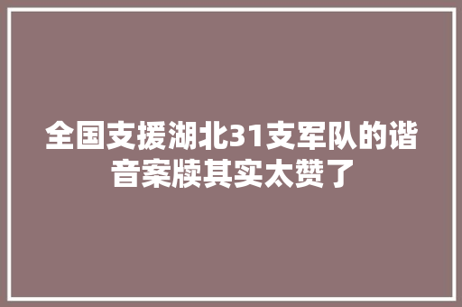 全国支援湖北31支军队的谐音案牍其实太赞了