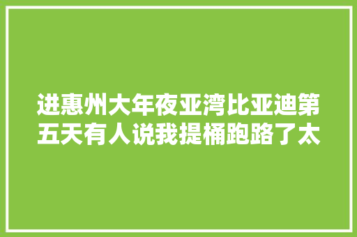 进惠州大年夜亚湾比亚迪第五天有人说我提桶跑路了太看不起