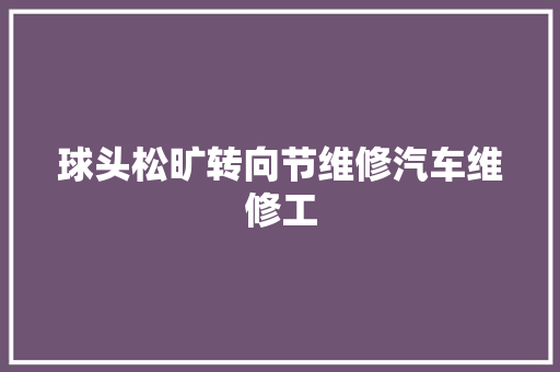 球头松旷转向节维修汽车维修工