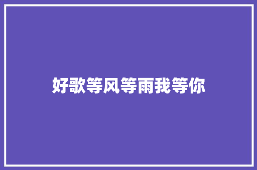 好歌等风等雨我等你