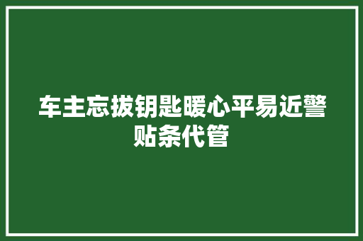 车主忘拔钥匙暖心平易近警贴条代管
