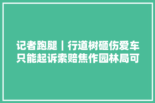 记者跑腿｜行道树砸伤爱车只能起诉索赔焦作园林局可协商解决