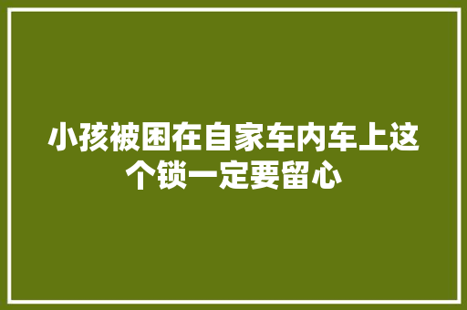 小孩被困在自家车内车上这个锁一定要留心
