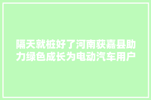 隔天就桩好了河南获嘉县助力绿色成长为电动汽车用户刷脸办电