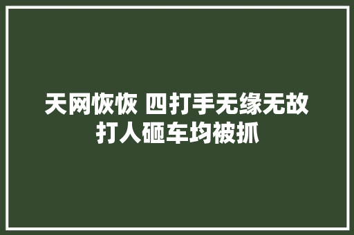 天网恢恢 四打手无缘无故打人砸车均被抓
