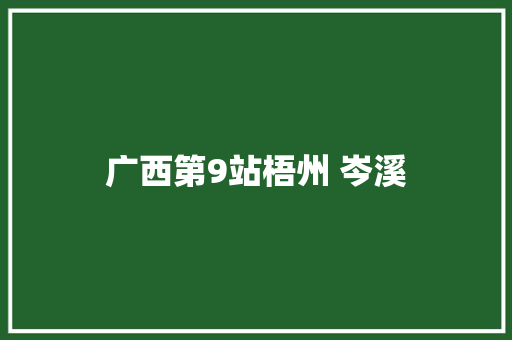广西第9站梧州 岑溪
