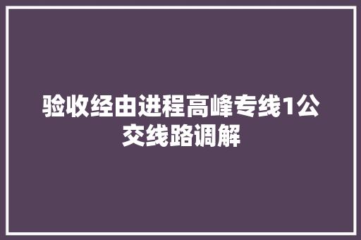 验收经由进程高峰专线1公交线路调解