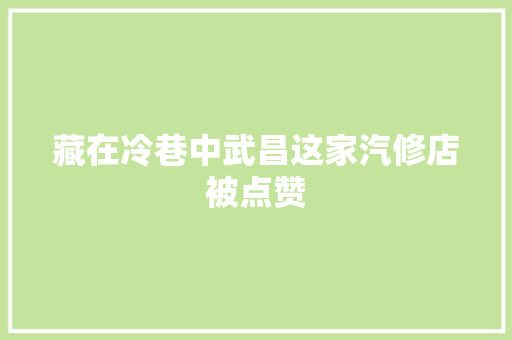 藏在冷巷中武昌这家汽修店被点赞