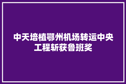中天培植鄂州机场转运中央工程斩获鲁班奖