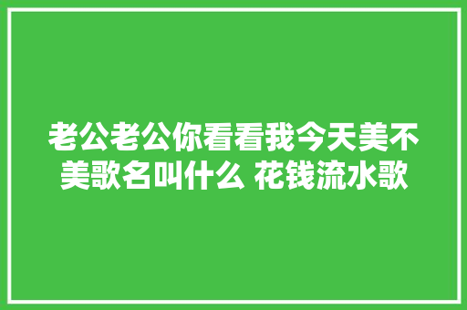 老公老公你看看我今天美不美歌名叫什么 花钱流水歌词完整版 休闲娱乐
