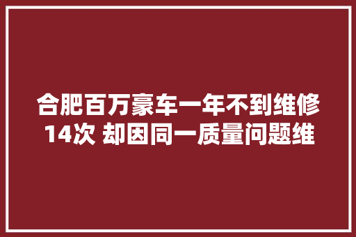 合肥百万豪车一年不到维修14次 却因同一质量问题维修未达5次无法换车