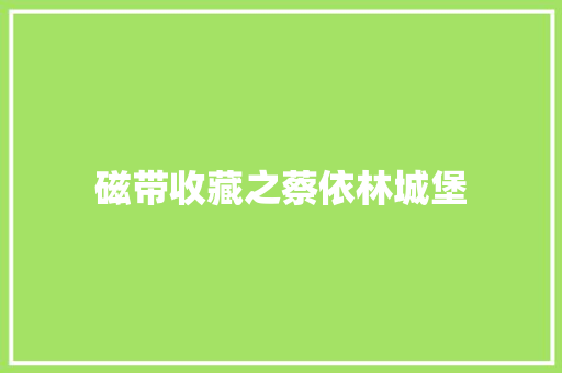 磁带收藏之蔡依林城堡