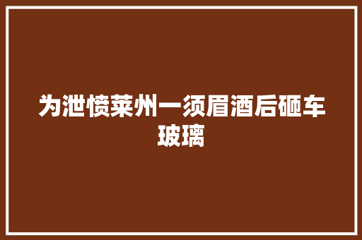 为泄愤莱州一须眉酒后砸车玻璃