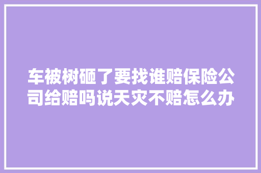 车被树砸了要找谁赔保险公司给赔吗说天灾不赔怎么办