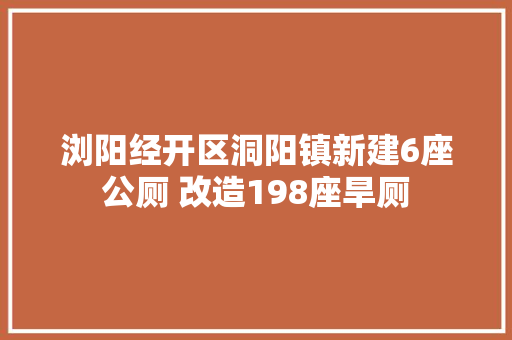 浏阳经开区洞阳镇新建6座公厕 改造198座旱厕