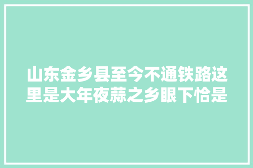 山东金乡县至今不通铁路这里是大年夜蒜之乡眼下恰是提蒜苔的旺季