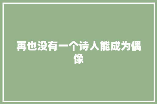 再也没有一个诗人能成为偶像