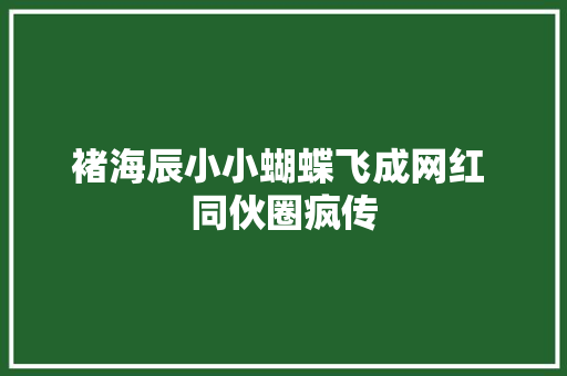 褚海辰小小蝴蝶飞成网红 同伙圈疯传