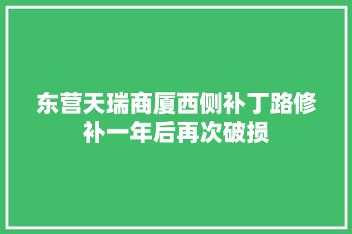 东营天瑞商厦西侧补丁路修补一年后再次破损 汽车知识