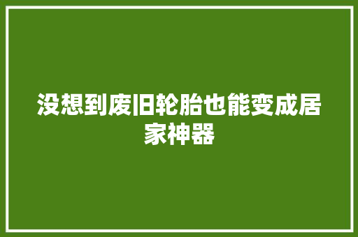 没想到废旧轮胎也能变成居家神器
