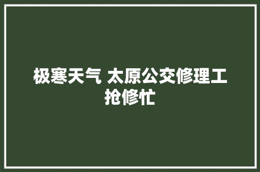 极寒天气 太原公交修理工抢修忙