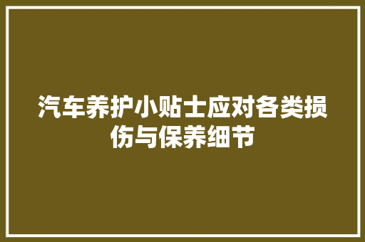 汽车养护小贴士应对各类损伤与保养细节
