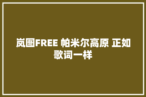 岚图FREE 帕米尔高原 正如歌词一样 休闲娱乐