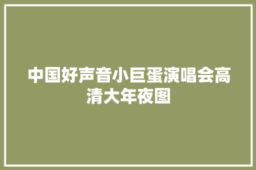 中国好声音小巨蛋演唱会高清大年夜图